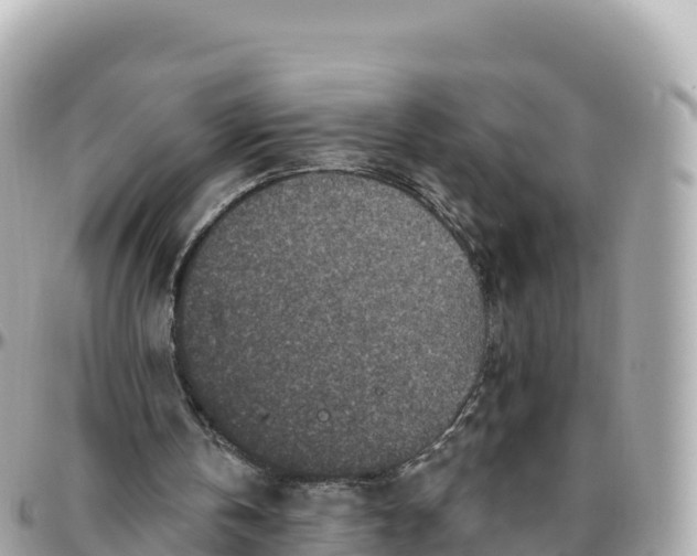 X0000095900146200801251232