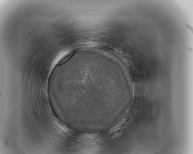 X0000095900147200801251232