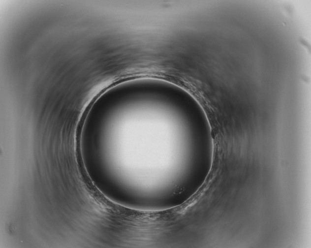 X0000095900148200801251232