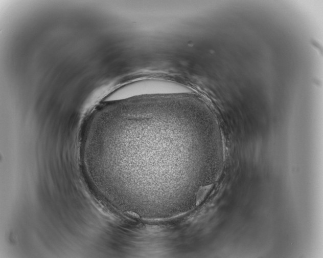 X0000095900149200801251232