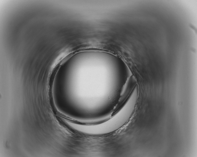 X0000095900150200801251232