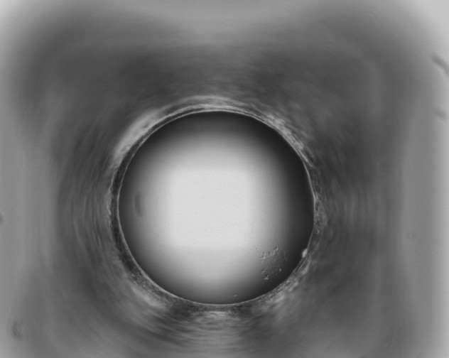 X0000095900151200801251232