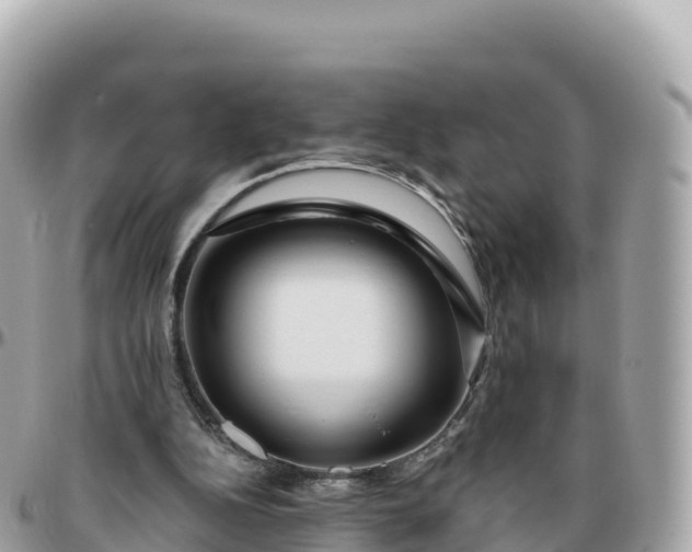 X0000095900152200801251232