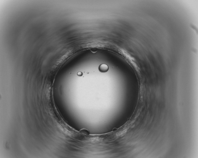 X0000095900153200801251232