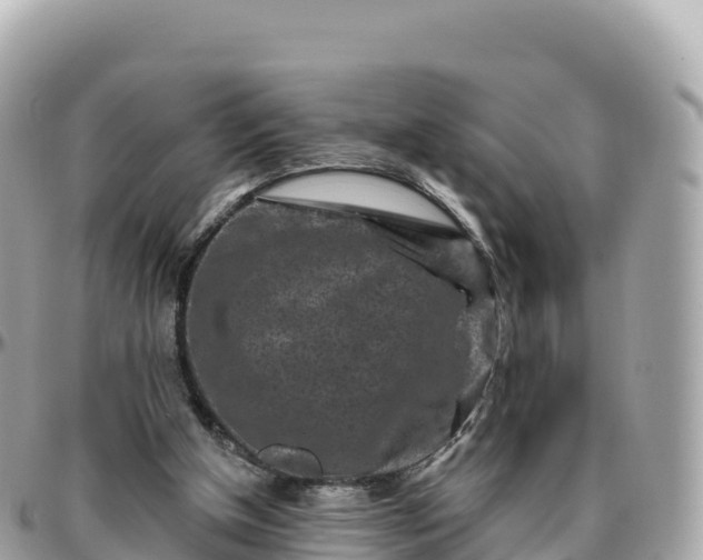 X0000095900154200801251232