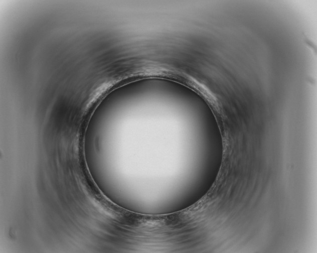 X0000095900155200801251232