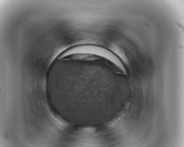 X0000095900156200801251232