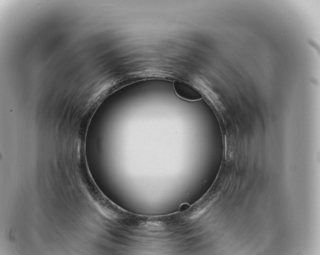 X0000095900157200801251232