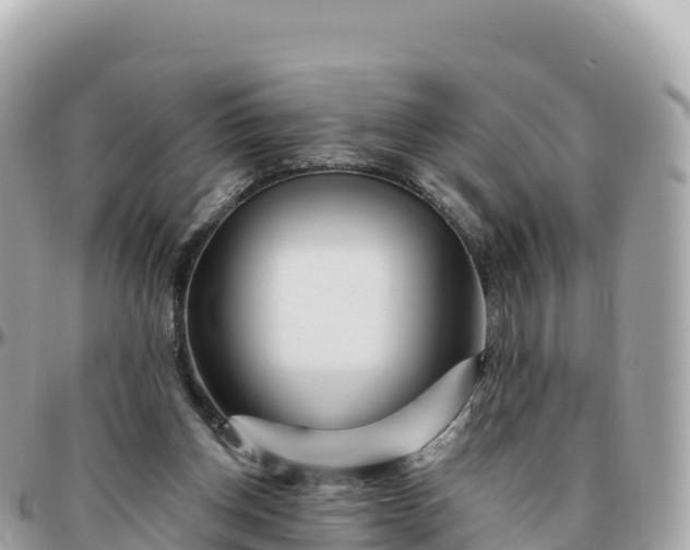 X0000095900158200801251232