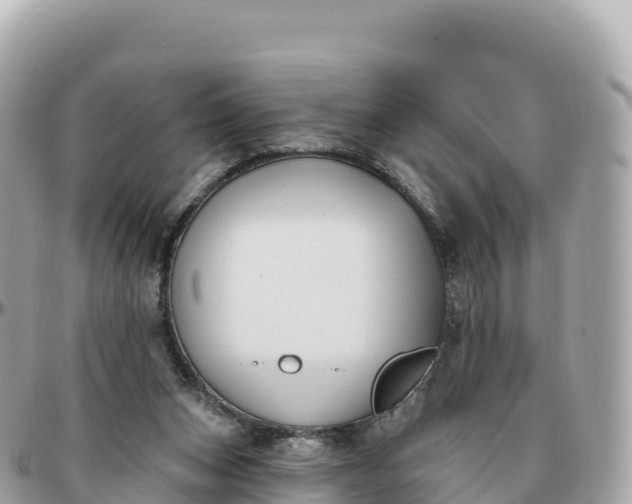 X0000095900159200801251232