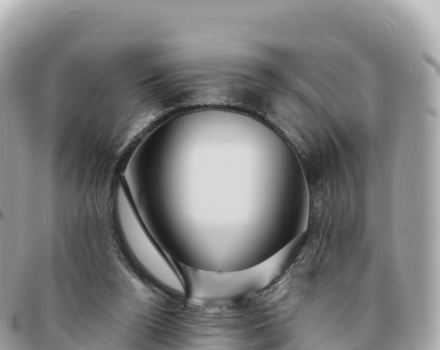 X0000095900160200801251232