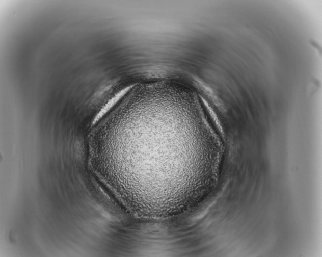 X0000095900161200801251232