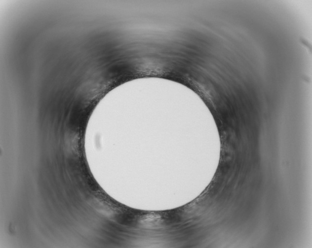 X0000095900162200801251232