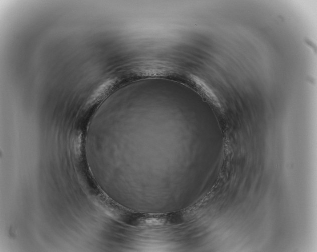 X0000095900163200801251232