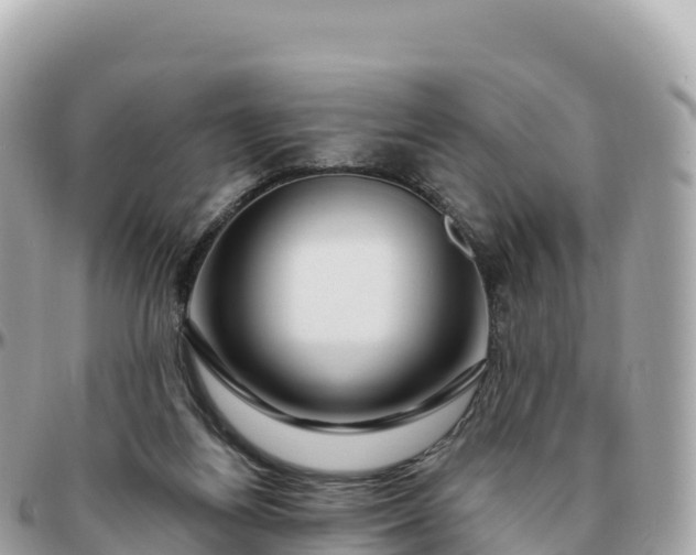 X0000095900164200801251232