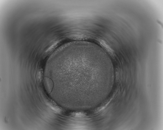 X0000095900165200801251232