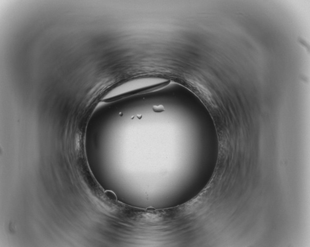 X0000095900166200801251232