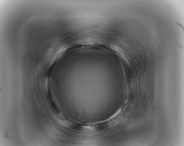 X0000095900167200801251232