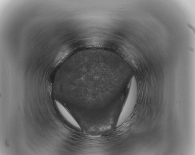 X0000095900168200801251232