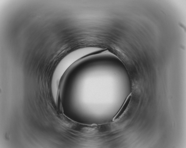 X0000095900170200801251232