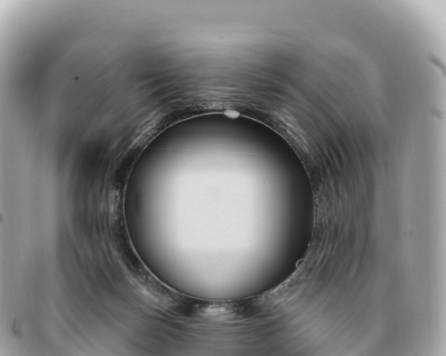 X0000095900171200801251232