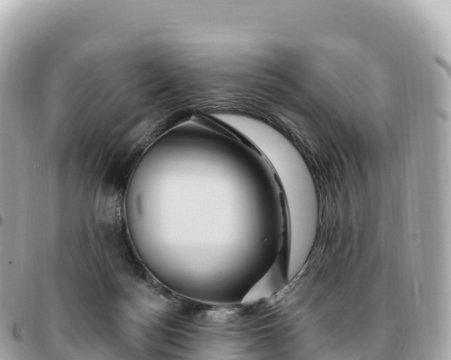 X0000095900172200801251232