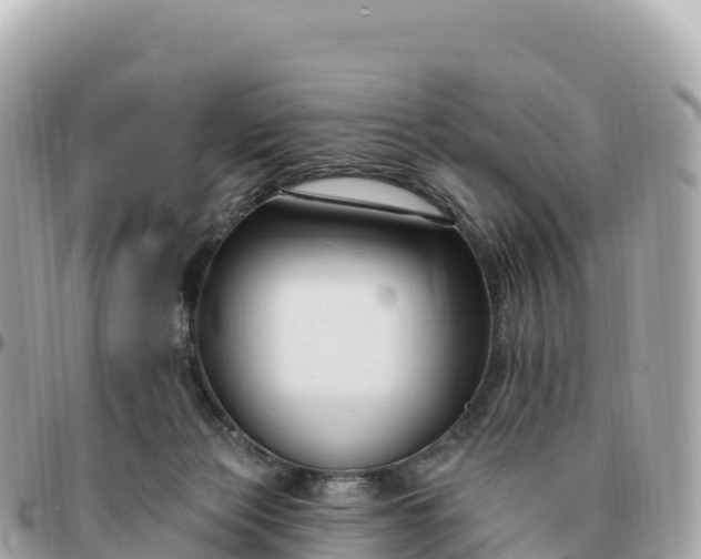 X0000095900173200801251232