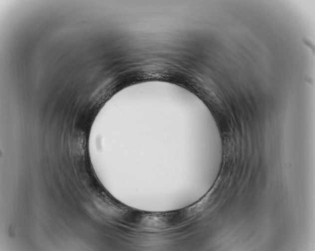 X0000095900174200801251232