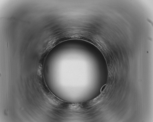 X0000095900175200801251232