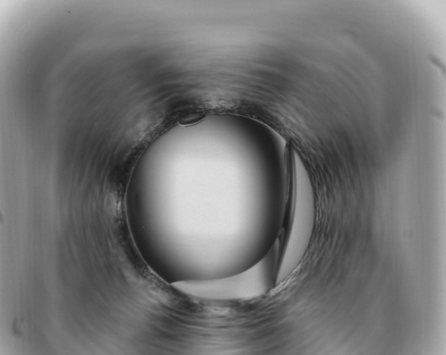 X0000095900176200801251232