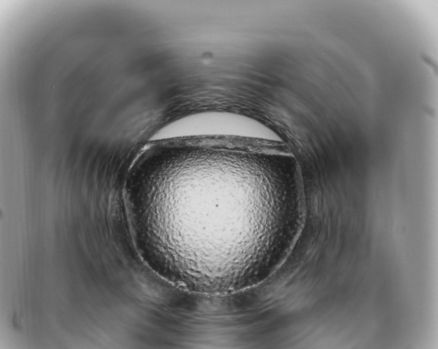 X0000095900177200801251232