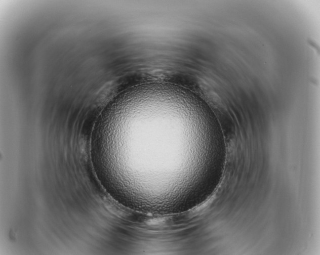 X0000095900178200801251232