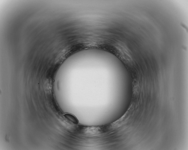 X0000095900179200801251232