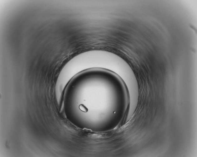 X0000095900180200801251232