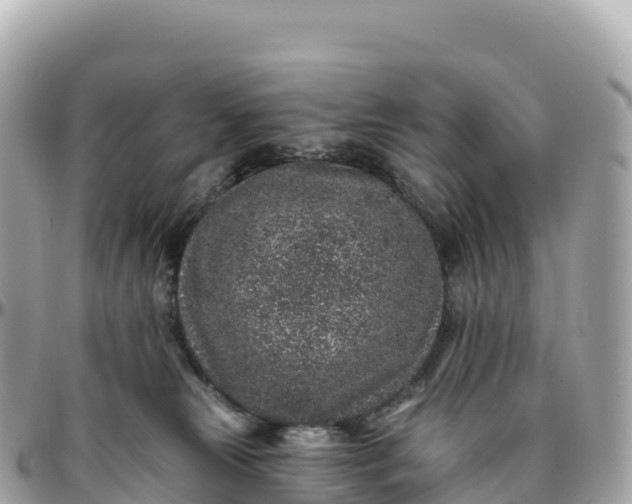 X0000095900181200801251232