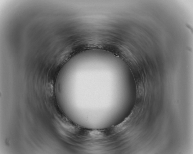 X0000095900183200801251232