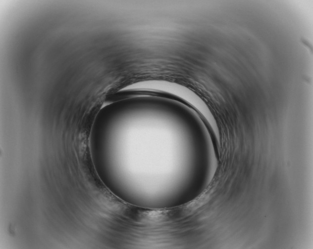 X0000095900184200801251232