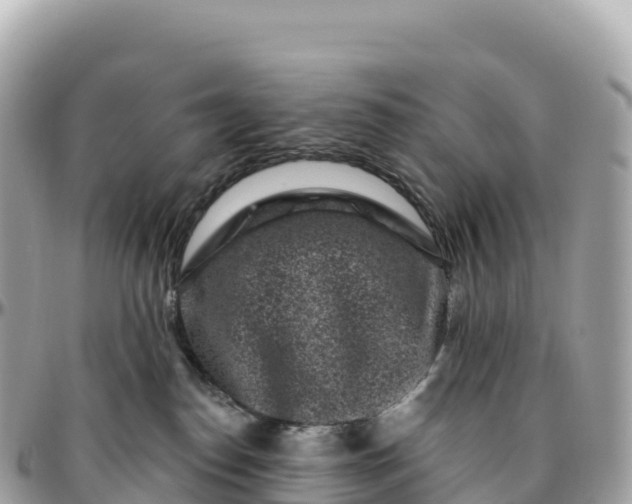 X0000095900186200801251232