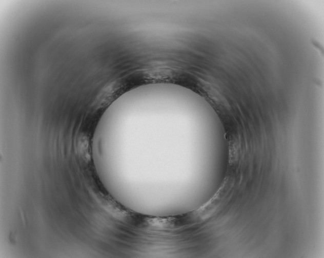 X0000095900187200801251232