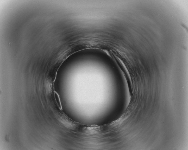 X0000095900188200801251232