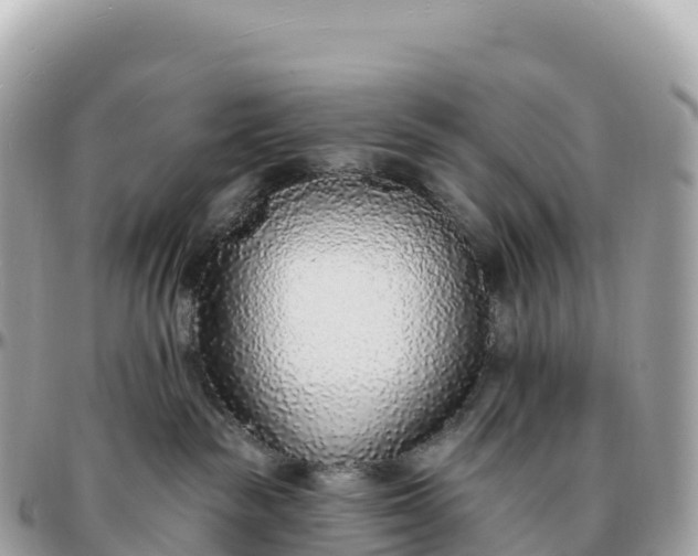 X0000095900189200801251232