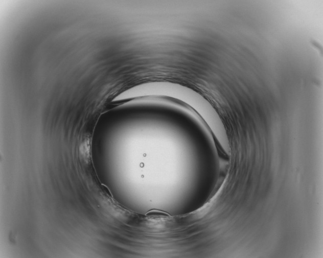 X0000095900190200801251232