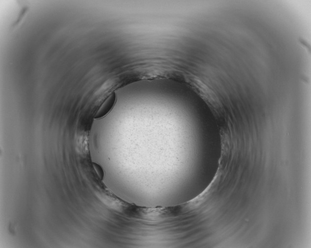 X0000095900191200801251232