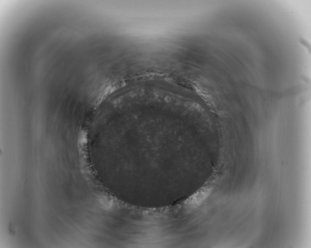 X0000095900192200801251232