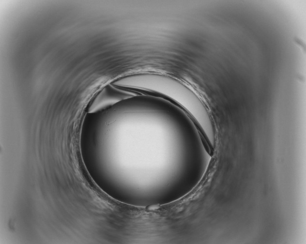 X0000095900193200801251232