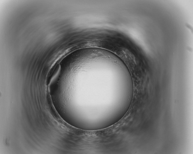 X0000095900194200801251232