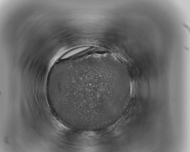 X0000095900195200801251232