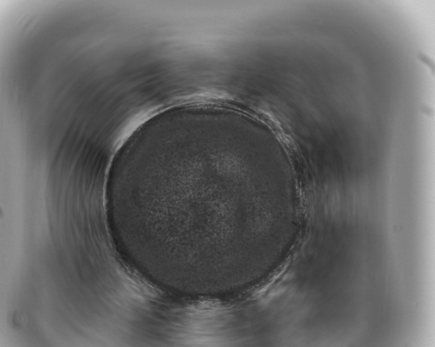 X0000095900196200801251231