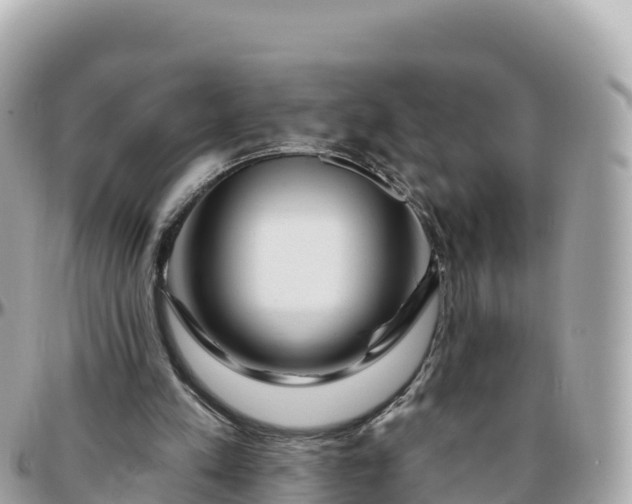 X0000095900197200801251231