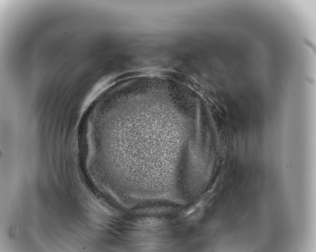 X0000095900198200801251231